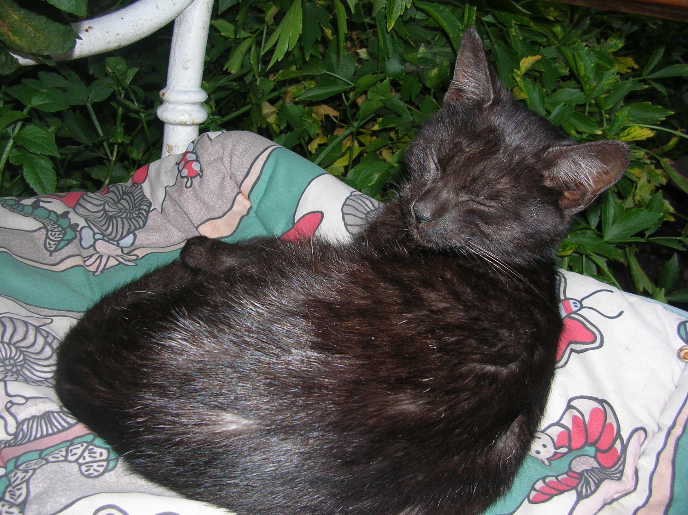DSCN4317.JPG