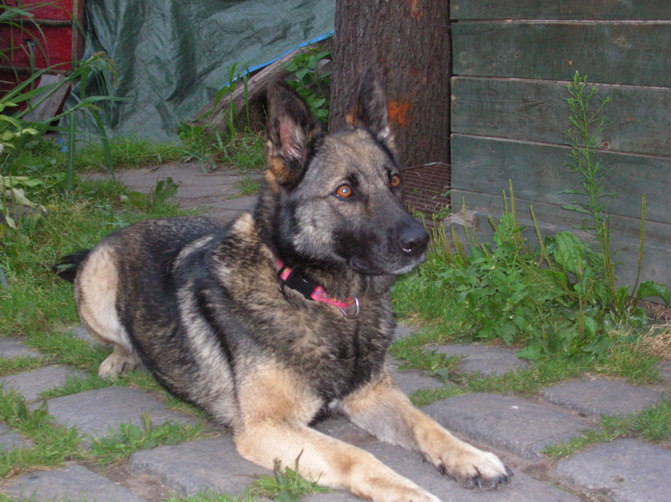 DSCN4319.JPG