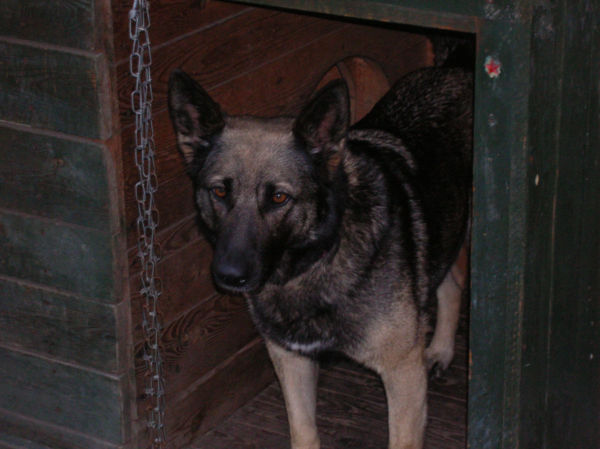 DSCN4321.JPG