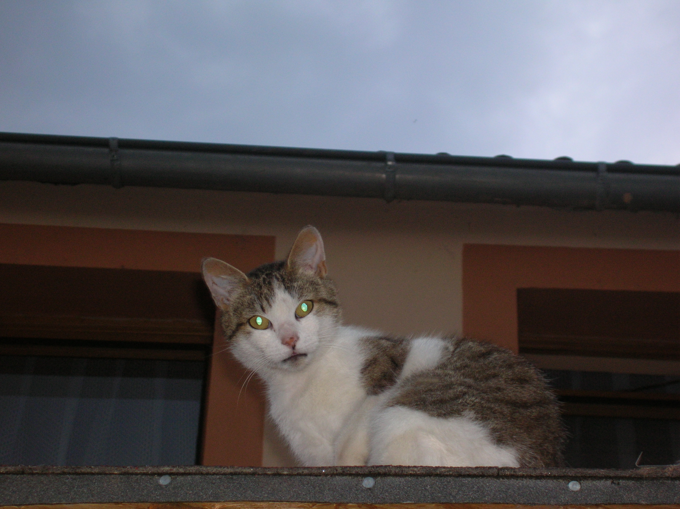 DSCN4337.JPG